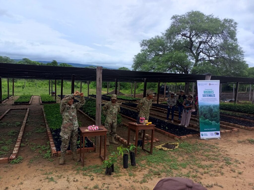 Comunidades de Roboré avanzan en la recuperación de áreas degradadas con 70.000 plantines Comunidades de Roboré avanzan en la recuperación de áreas degradadas con 70.000 plantines