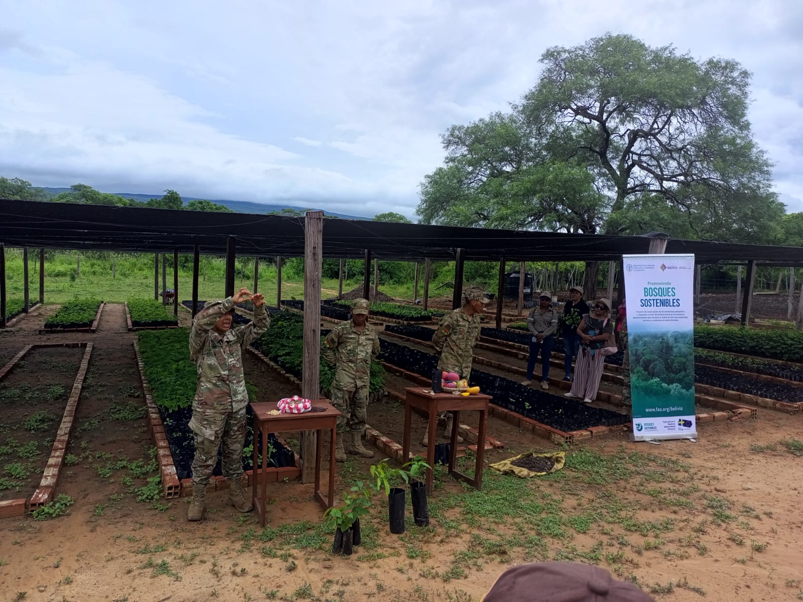 Comunidades de Roboré avanzan en la recuperación de áreas degradadas con 70.000 plantines