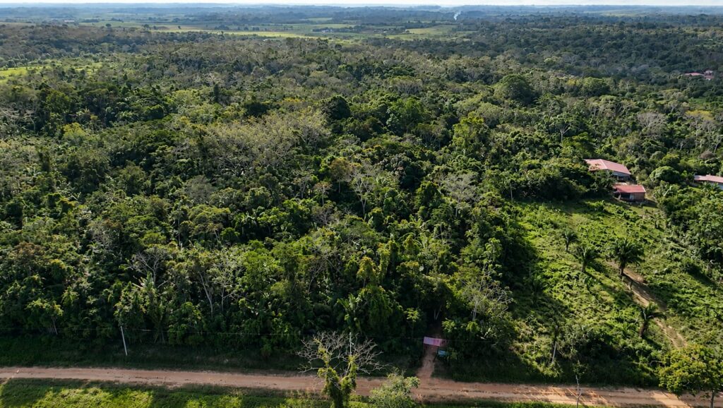 Del sujal a una escuela viva de la Amazonía