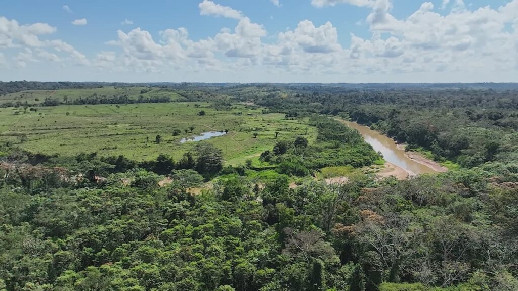 Donde hubo degradación, vuelve a crecer el bosque y también la economía familiar