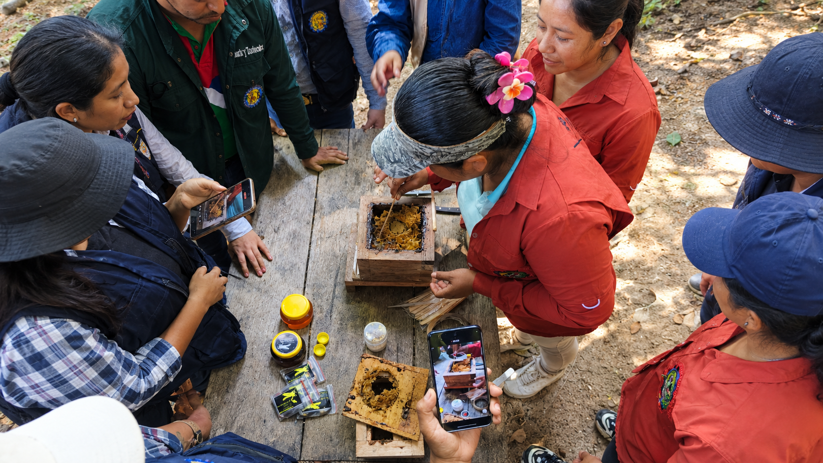 Estudiantes impulsan un ecorefugio para proteger a las abejas nativas de la Amazonía paceña